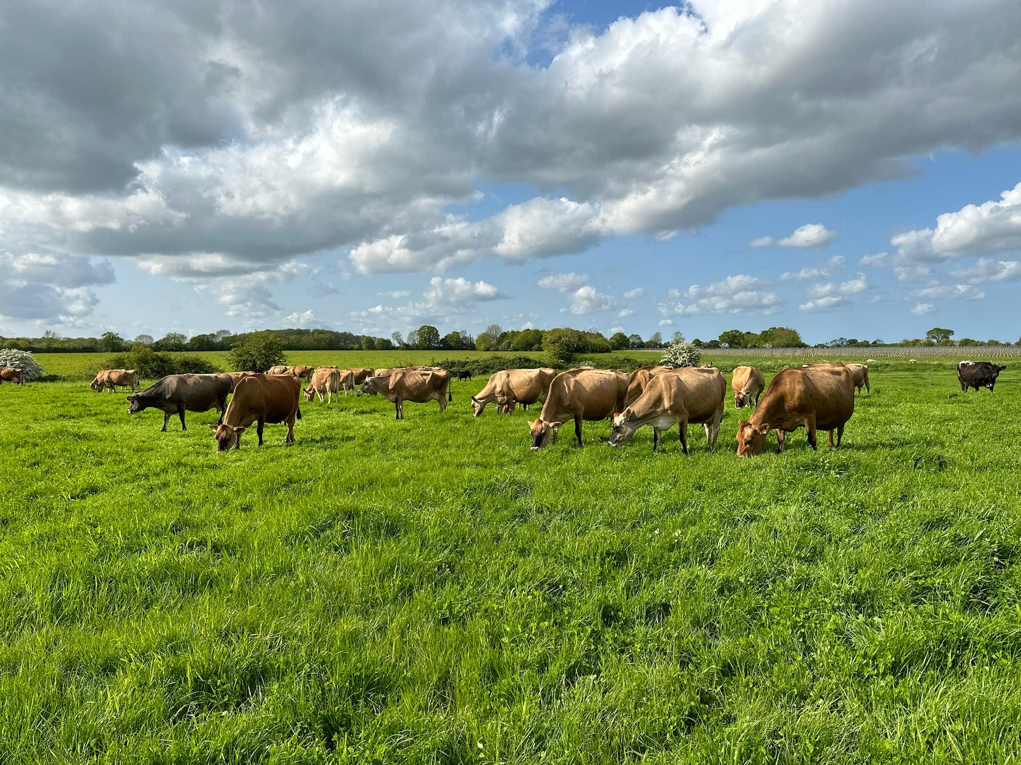 Welcome to Our Store