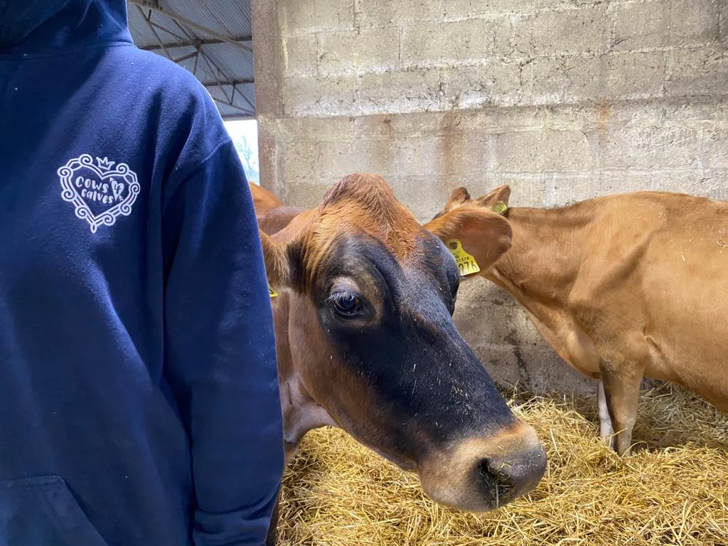 Old Hall Farm Hoodies - Image 3